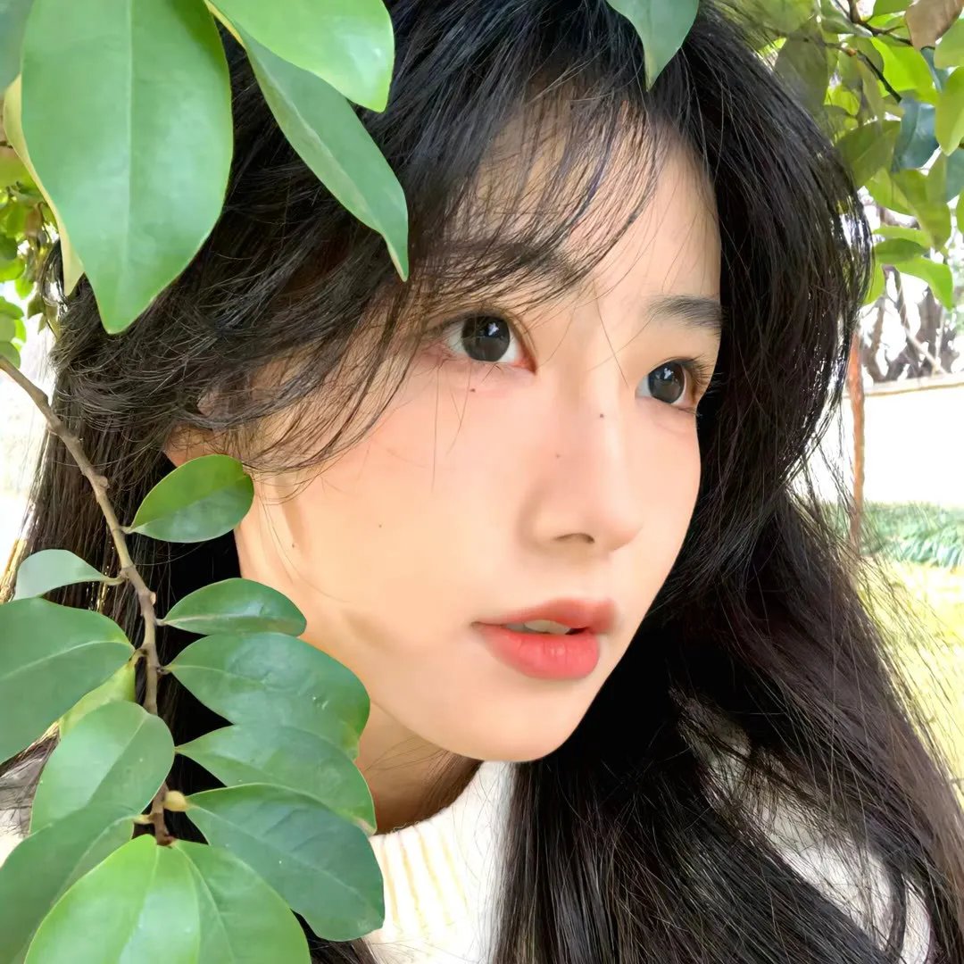 圣诞愿望